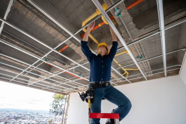 Best Local Plumber Services  in Williamston, SC