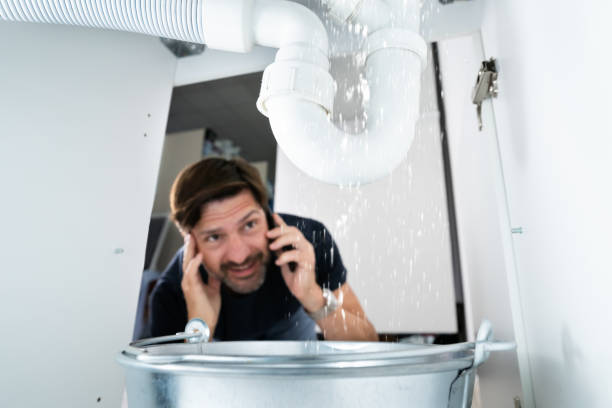 Best Commercial Plumbing Services  in Williamston, SC