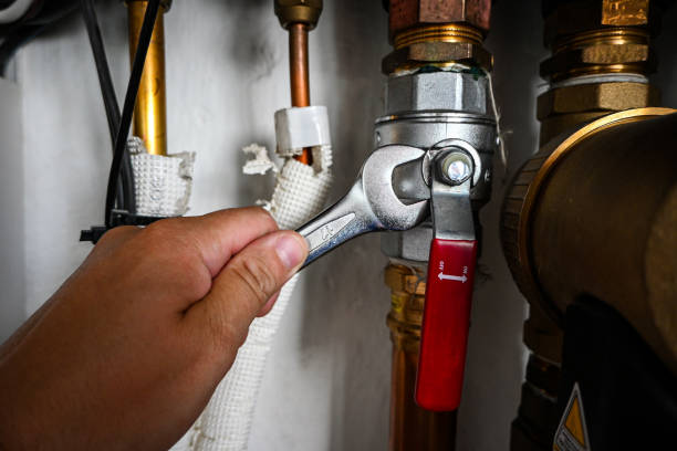Best Water Heater Repair  in Williamston, SC
